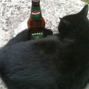 Meet your Posher, Graeme